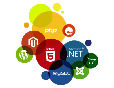 web application development